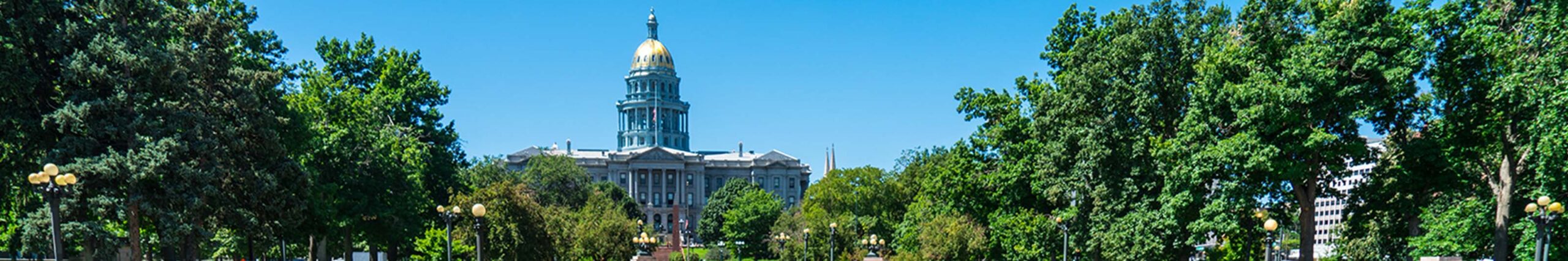 SLG Header for Our Team page showing the Denver Capitol building in Spring
